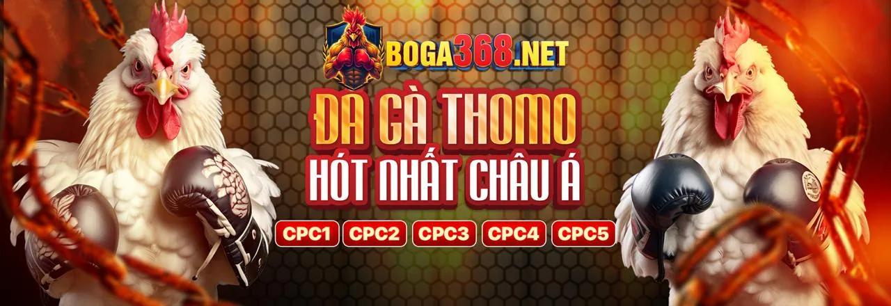 Đội ngũ SV689 link mới và tầm nhìn phát triển